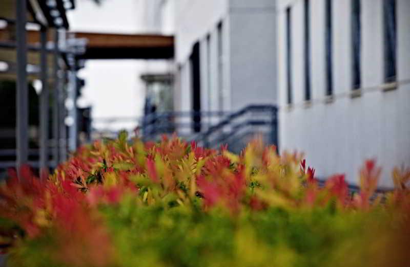 Apartment Vertice Sevilla Aljarafe